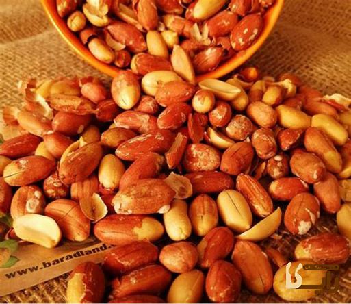 مرکز سفارش بادام زمینی ریز صادراتی