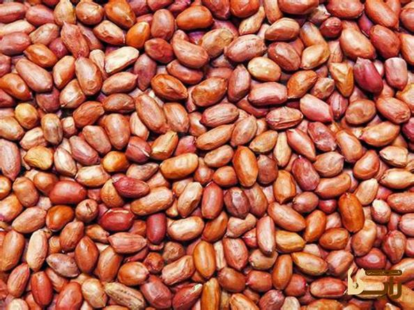 شناخت انواع بادام زمینی درجه یک