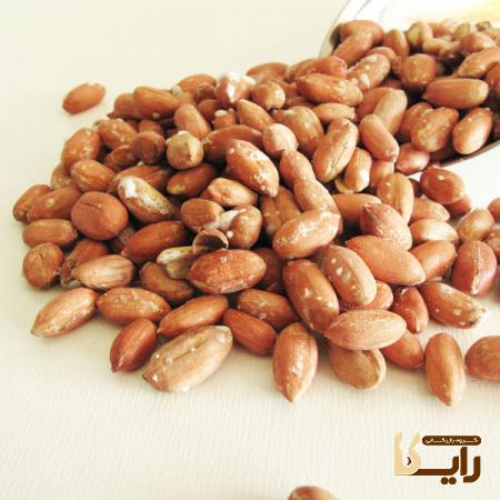 عرضه مستقیم بادام زمینی درجه یک