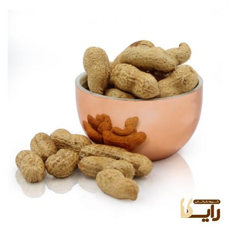 مراکز خرید بادام زمینی صادراتی با پایین ترین قیمت