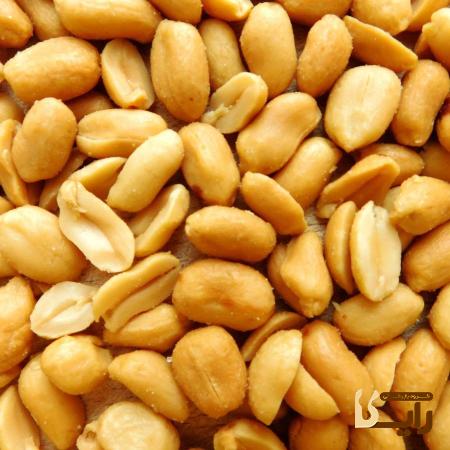 راهنمای خرید بادام زمینی مشهد + قیمت عالی