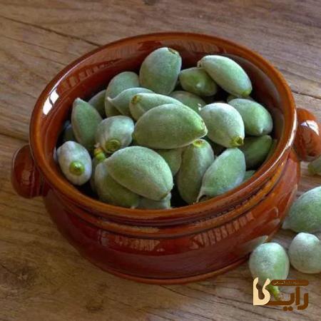 مشخصات آجیل
