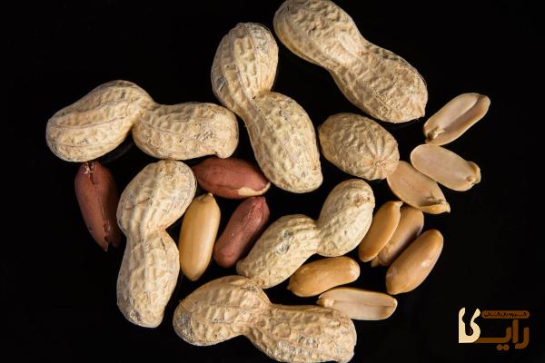 راهنمای خرید بادام زمینی با پوست + قیمت عالی